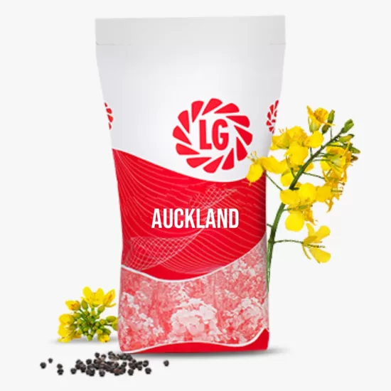 LG Auckland